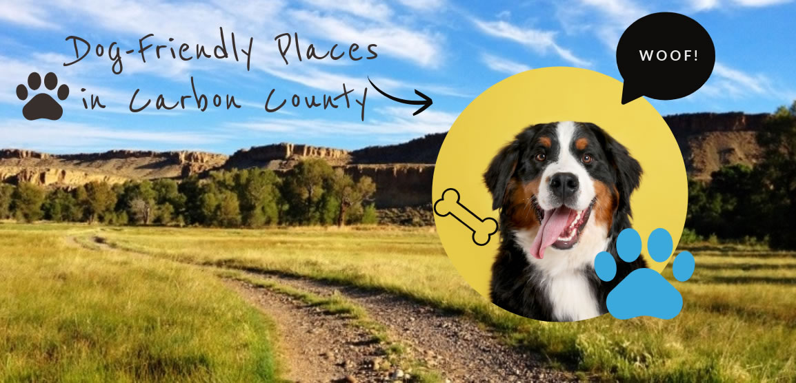 Dog-Friendly Places in Carbon...